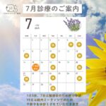 7月の診療のご案内