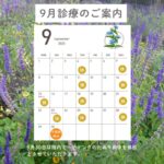9月の診療案内