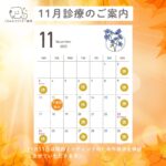 11月の診療のご案内