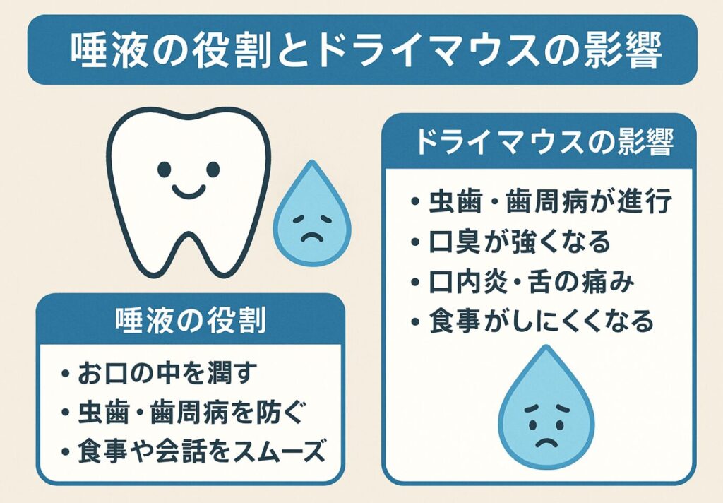 唾液の役割とドライマウスの影響
