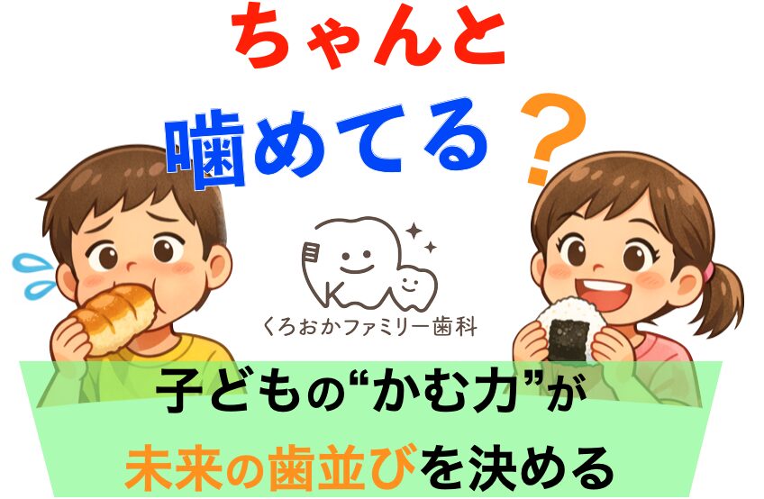 子どもの噛む力が未来の歯並びを決める