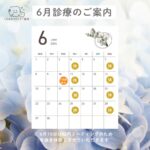 ６月の診療のご案内